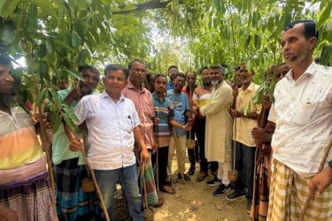 জিয়াউর রহমানের শাহাদাতবার্ষিকী উপলক্ষে নওগাঁয় বৃক্ষরোপণ