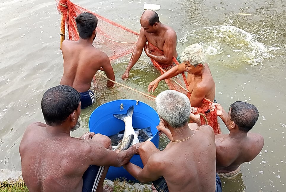 মৎস্য চাষে রিয়াজুল আলম খানের সাফল্য