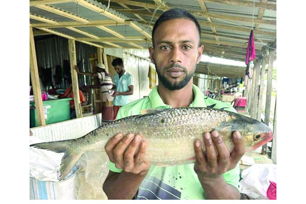 এক ইলিশ বিক্রি ৭ হাজার ৭০০ টাকায়