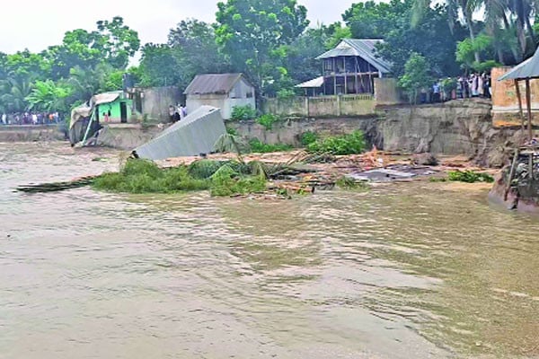 পদ্মা নদীর ভাঙনে বিলীন হচ্ছে বসতভিটা