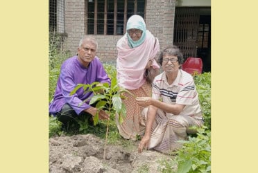 পায়রাবন্দে বেগম রোকেয়া স্মৃতি কেন্দ্রে যুক্ত হলো ননি ফলের চারা