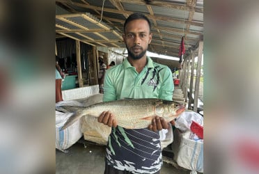 এক ইলিশের দাম ৭ হাজার ৭০০ টাকা