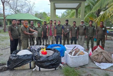 সুন্দরবনে বিষ দিয়ে ধরা ৩ মণ মাছ উদ্ধার