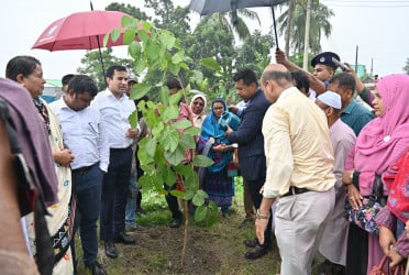নারায়ণগঞ্জ গ্রিন এন্ড ক্লিন কর্মসূচি বাস্তবায়নে বৃক্ষরোপণ