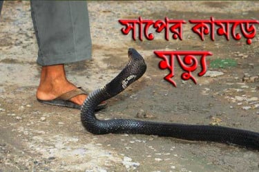 মাগুরায় সাপের কামড়ে মাদ্রাসা ছাত্রীর মৃত্যু