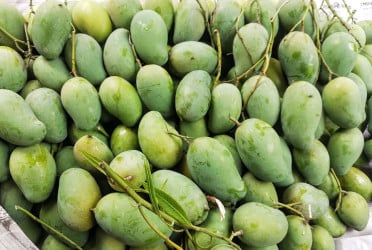 গাজীপুর জেলা কারাগারে বন্দীদের মাঝে আম বিতরণ