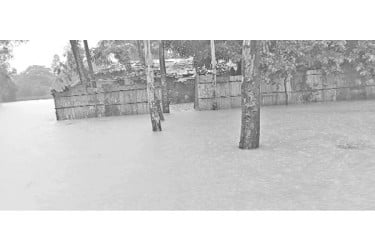 ভারী বর্ষণ, ৩ হাজার পরিবার পানিবন্দি