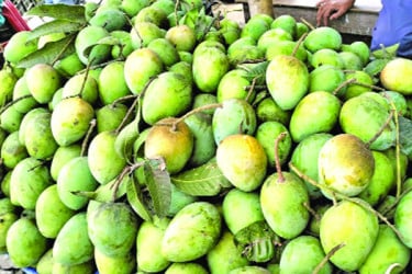 পেশা বদলে দিয়েছে হাঁড়িভাঙা