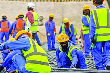 আমিরাতে শ্রমবাজারে নতুন দ্বার