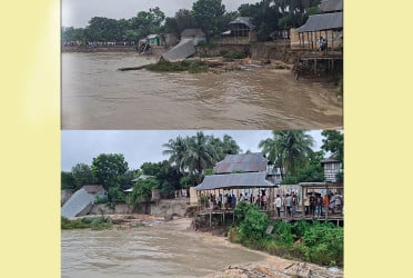 থামছে না পদ্মার ভাঙন, বিলিন হচ্ছে ঘরবাড়ি