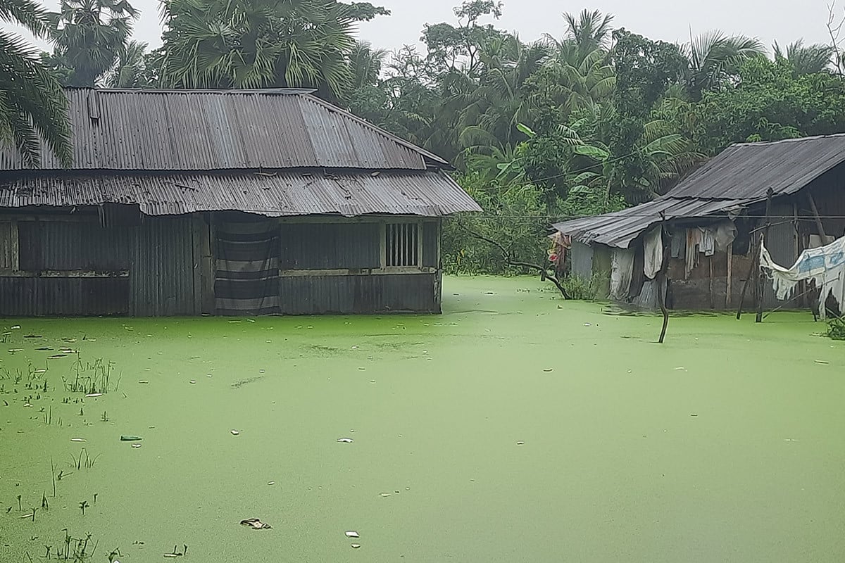 বৃষ্টিতে মোংলা পৌর এলাকায় জলাবদ্ধতা, জনজীবন বিপর্যস্ত