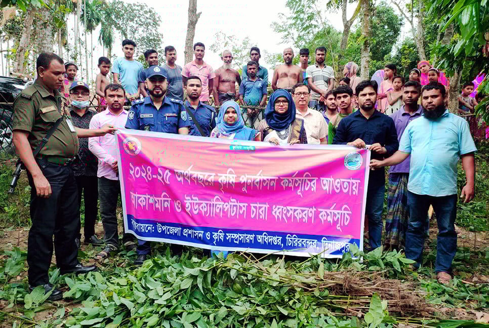 দিনাজপুরে অভিযান চালিয়ে ইউক্যালিপটাস ও আকাশমণি গাছের চারা ধ্বংস