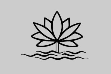 ভোটের মার্কা শাপলা নয়, ইসির নীতিগত সিদ্ধান্ত