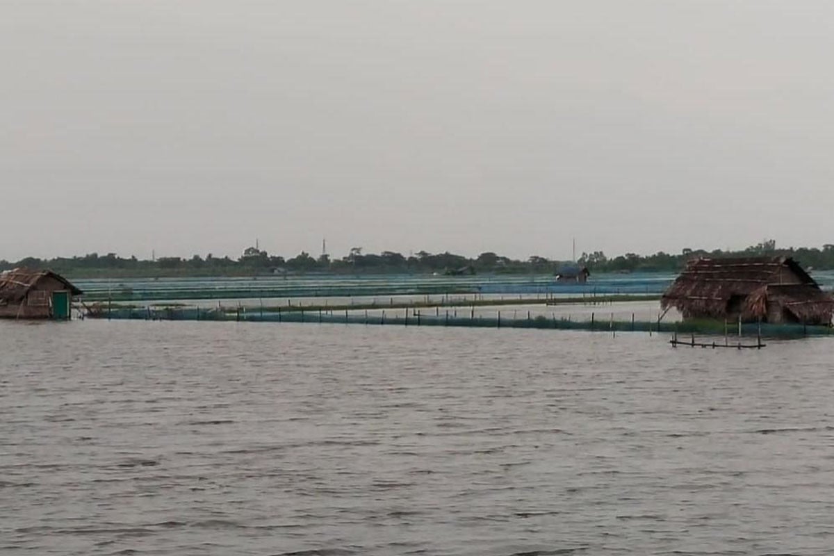 বাগেরহাটে টানা বর্ষণে ক্ষতিগ্রস্ত ফসলি জমি