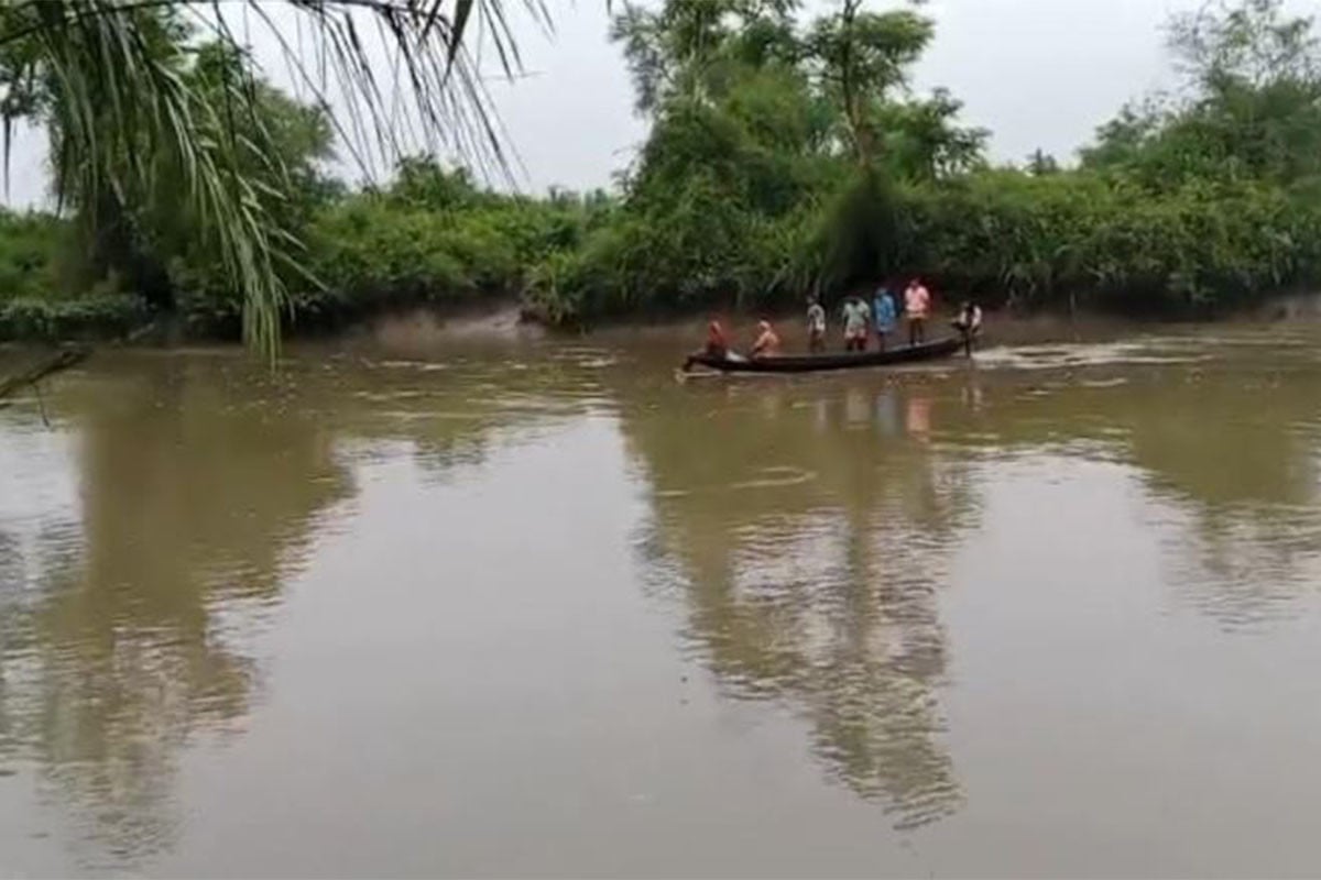মোংলায় বাঘের আক্রমণে গরুর মৃত্যু