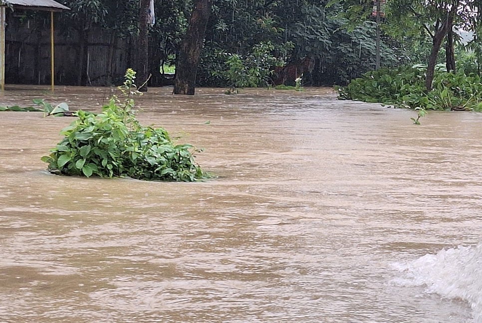২১ জেলায় পানিতে ডুবেছে ৭২ হাজার হেক্টর জমির ফসল