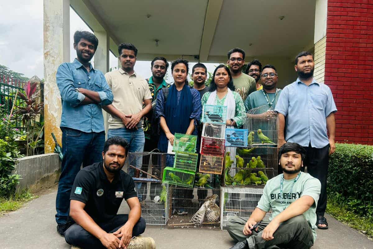 মিরপুরের পাখির দোকান থেকে ৫০টি দেশীয় বন্যপ্রাণী উদ্ধার