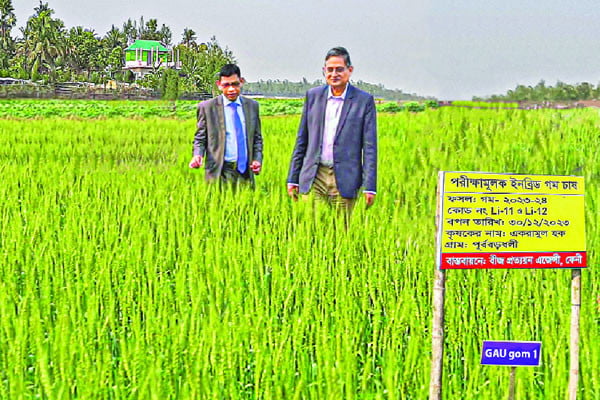 পুষ্টি ও উচ্চফলনে অভাবনীয় সংযোজন