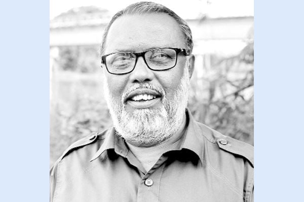 শহুরে ছাদকৃষিতে বাণিজ্যিক নার্সারি