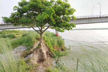 শিবচরে আড়িয়াল খাঁ নদের সেতুর কাছে ভাঙছে পাড়
