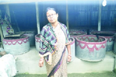 কেঁচো সারে ভাগ্যবদল