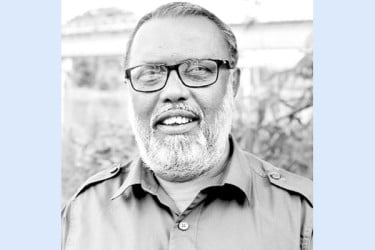 শহুরে ছাদকৃষিতে বাণিজ্যিক নার্সারি