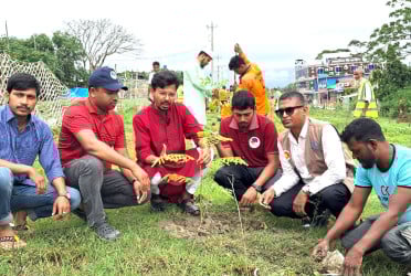 কুয়াকাটা সৈকত রক্ষা বাঁধে কৃষ্ণচূড়া সহ ৬ হাজার গাছের চারা রোপণ