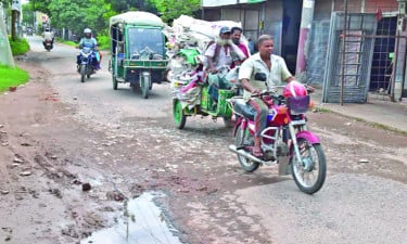 বছর না ঘুরতেই উঠে যাচ্ছে কার্পেটিং