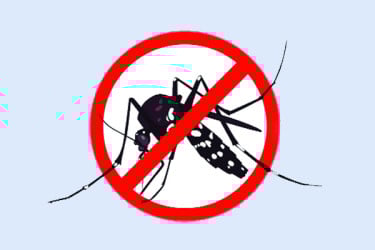 বসে থেকেই মশা মারার খরচ ৯২ কোটি টাকা