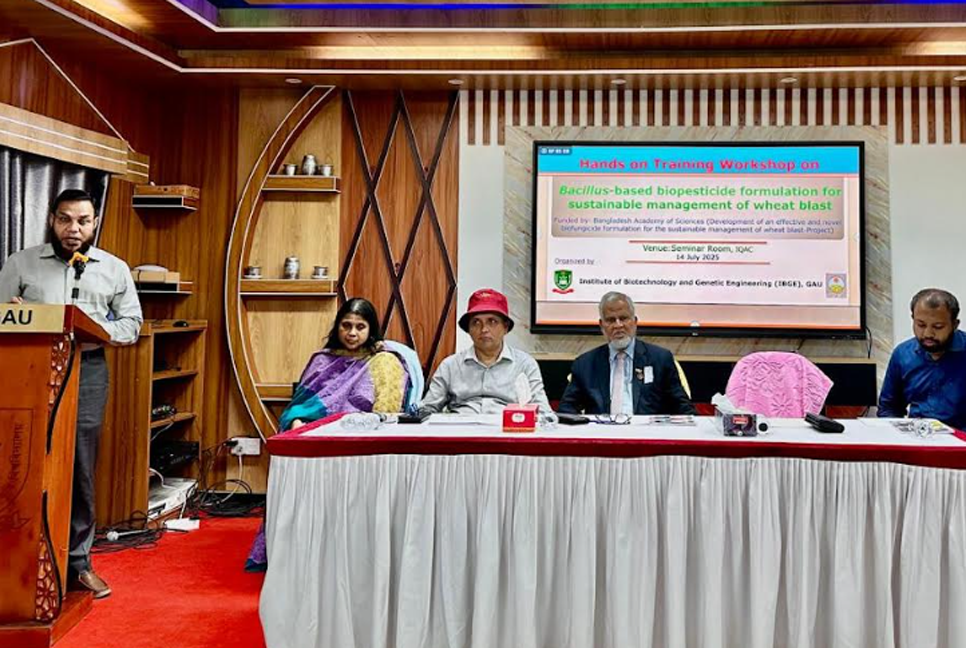 গাকৃবিতে গমের ব্লাস্ট রোগ দমনে হাতে কলমে প্রশিক্ষণ