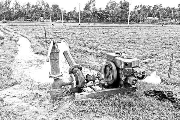 বৃষ্টি নেই আমন রোপণে বিপাকে কৃষক