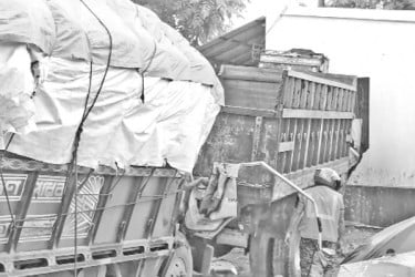 সড়কে দুই ভাইসহ ৮ জনের প্রাণহানি