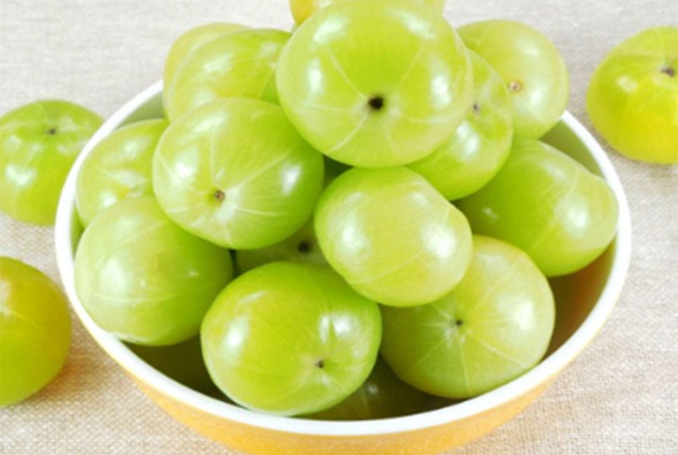 আমলকির স্বাস্থ্য উপকারিতা