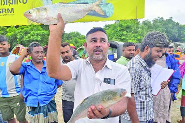 পদ্মার দুই ইলিশ সাড়ে ১৪ হাজারে বিক্রি