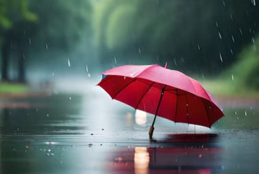 বর্ষাকালে নিজেকে সুস্থ রাখতে যা করবেন