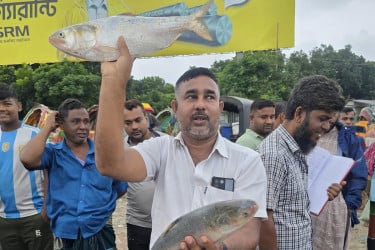 পদ্মার দুই ইলিশের দাম সাড়ে ১৪ হাজার
