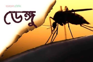 বরিশালে ডেঙ্গু জ্বরে বৃদ্ধার মৃত্যু