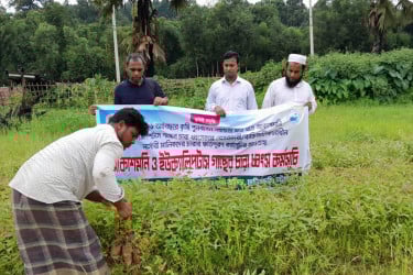 ফটিকছড়িতে আকাশমনি-ইউক্যালিপটাস চারা ধ্বংসে নামল প্রশাসন