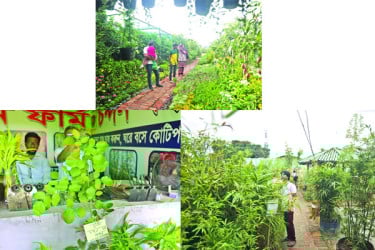 ক্যাকটাস থেকে চন্দন সব মিলছে বৃক্ষমেলায়