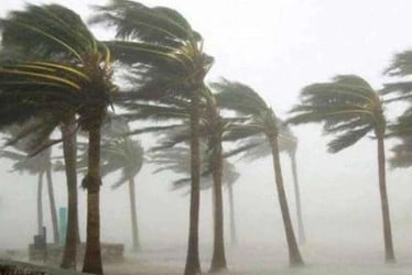 দুপুরের মধ্যে যেসব জেলায় হতে পারে ঝড়বৃষ্টি