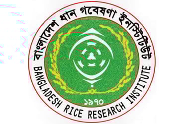 ব্রিতে জুলাই শহীদ দিবস পালিত