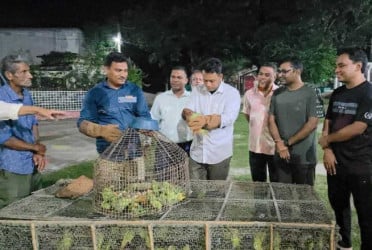 খাঁচা থেকে মুক্ত আকাশে ৮০টি টিয়া, দুই শিকারী গেল কারাগারে