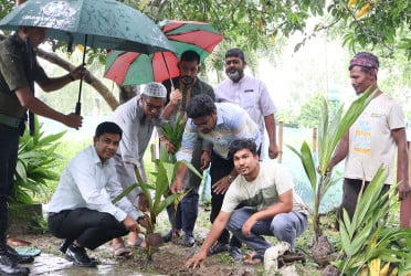 সিংড়ায় বৃক্ষরোপণ কর্মসূচি