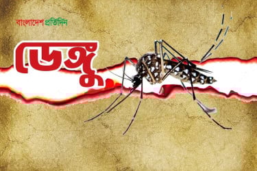 ডেঙ্গু আক্রান্ত হয়ে হাসপাতালে ভর্তি আরও ৩৭৫