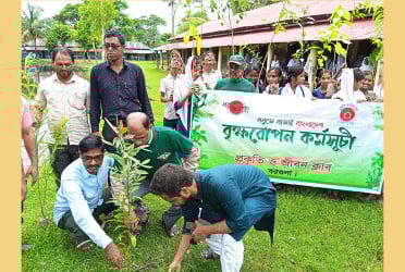 পাথরঘাটায় প্রকৃতি ও জীবন ক্লাবের বৃক্ষরোপণ ও আলোচনা সভা অনুষ্ঠিত