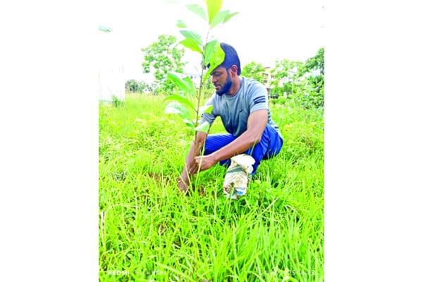 গাছ লাগিয়ে অনন্য কীর্তি