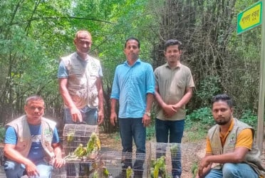 মিরপুর পাখির হাটে অভিযান, ৬১টি পাখি ও ২টি কচ্ছপ উদ্ধার
