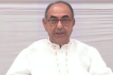 সরকারের কোলে একদল, কাঁধে আরেক দল : মির্জা আব্বাস
