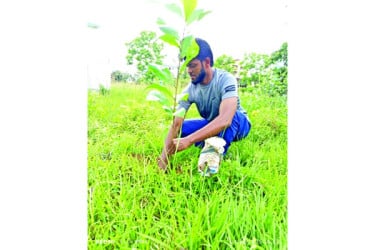 গাছ লাগিয়ে অনন্য কীর্তি
