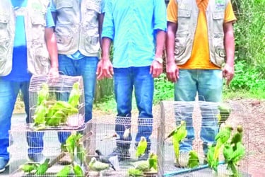 ৬১টি পাখি ও দুটি কচ্ছপ অবমুক্ত